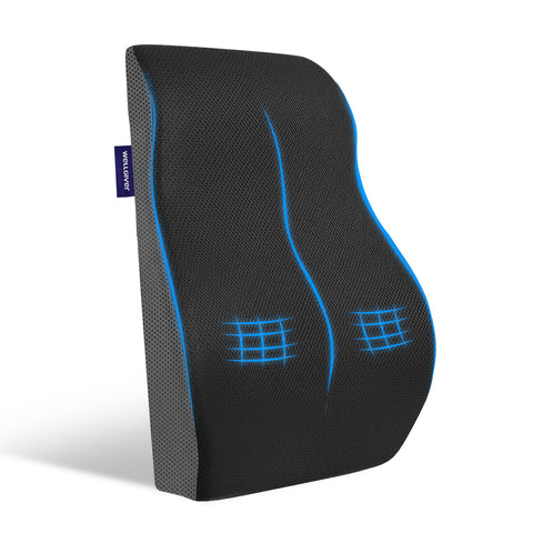 Wellgiver Memory Foam Backrest Support Cuhion